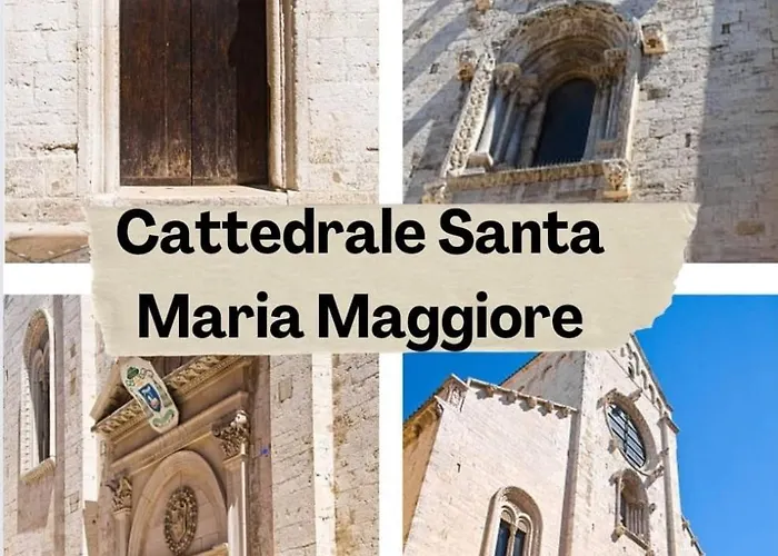 Binario1 4* بارليتا